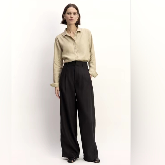 Everlane Pants - Everlane The Way High Drape Pant Size 10 New